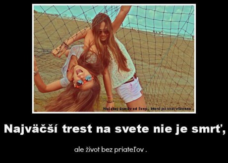 387_235704479901557_755862724_n